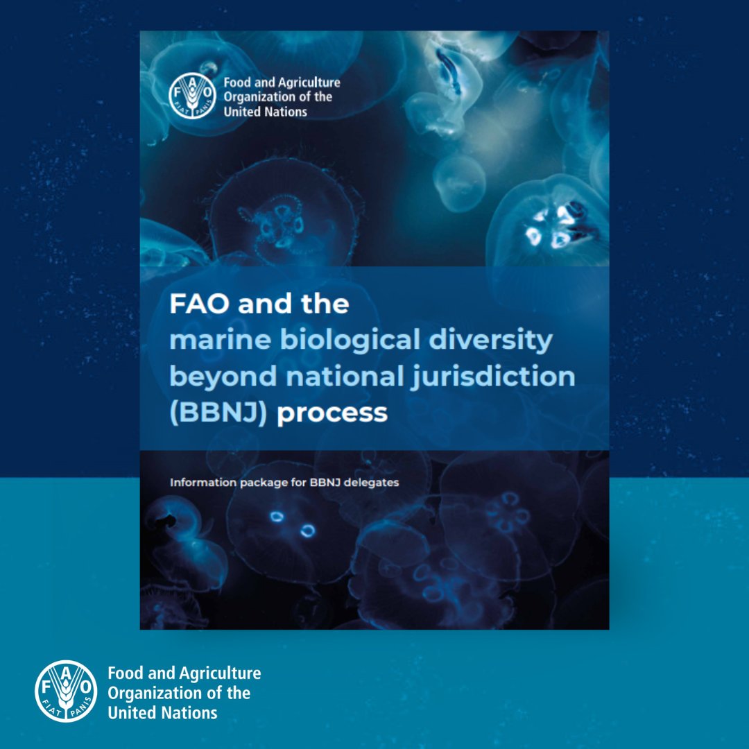 This booklet outlines @FAOFish's projects supporting Member in conserving and sustainably using #biodiversity in #ABNJ. Read it to understand how FAO's expertise in this area can support the implementation of the #BBNJ Agreement 👉 bit.ly/3VAoFyG #OceanDecade