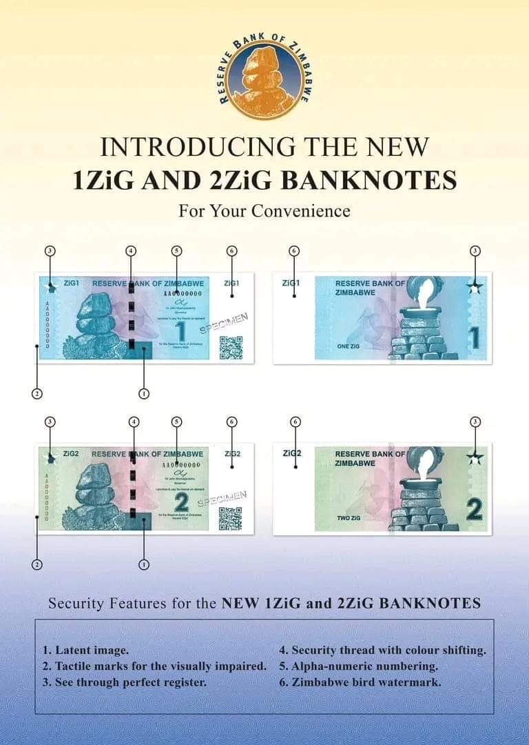 l have much faith in this gamechanging currency. By year-end it will undeniably be the best currency in Africa. Few days after its introduction we are seeing economic and price stability. It the ZiG currency fails l will walk naked from Coppa Cabana to State House !!