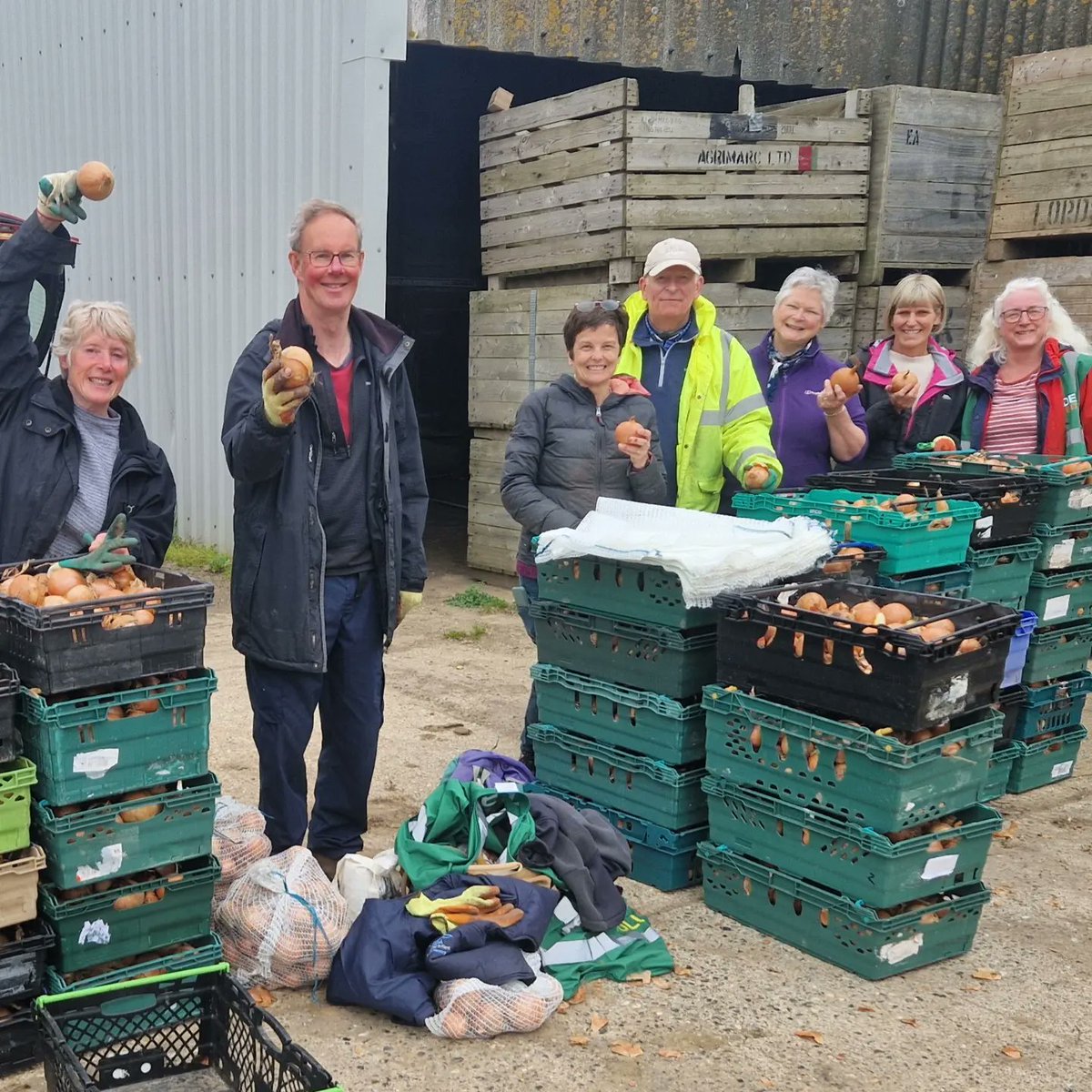 Thank you to our volunteers - Jill, Linda, Elaine, Renate, Tim and Steve - on today's onion glean. Over 900kgs collected and distributed to food charities in East Kent. We are very grateful to all at Brook Farm for supporting us #gleaning #WeAreGleaners