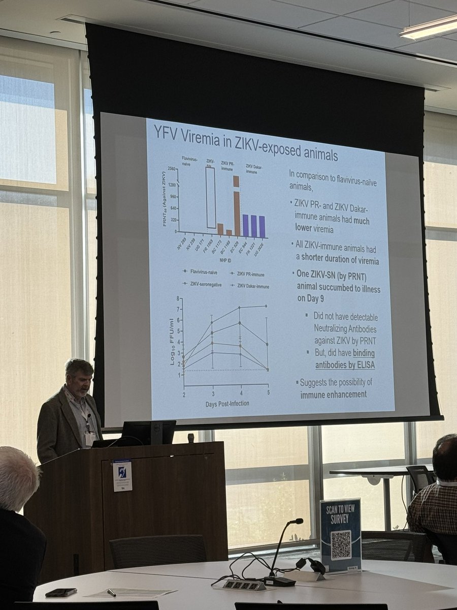 Nikos Vasilakis tweet media