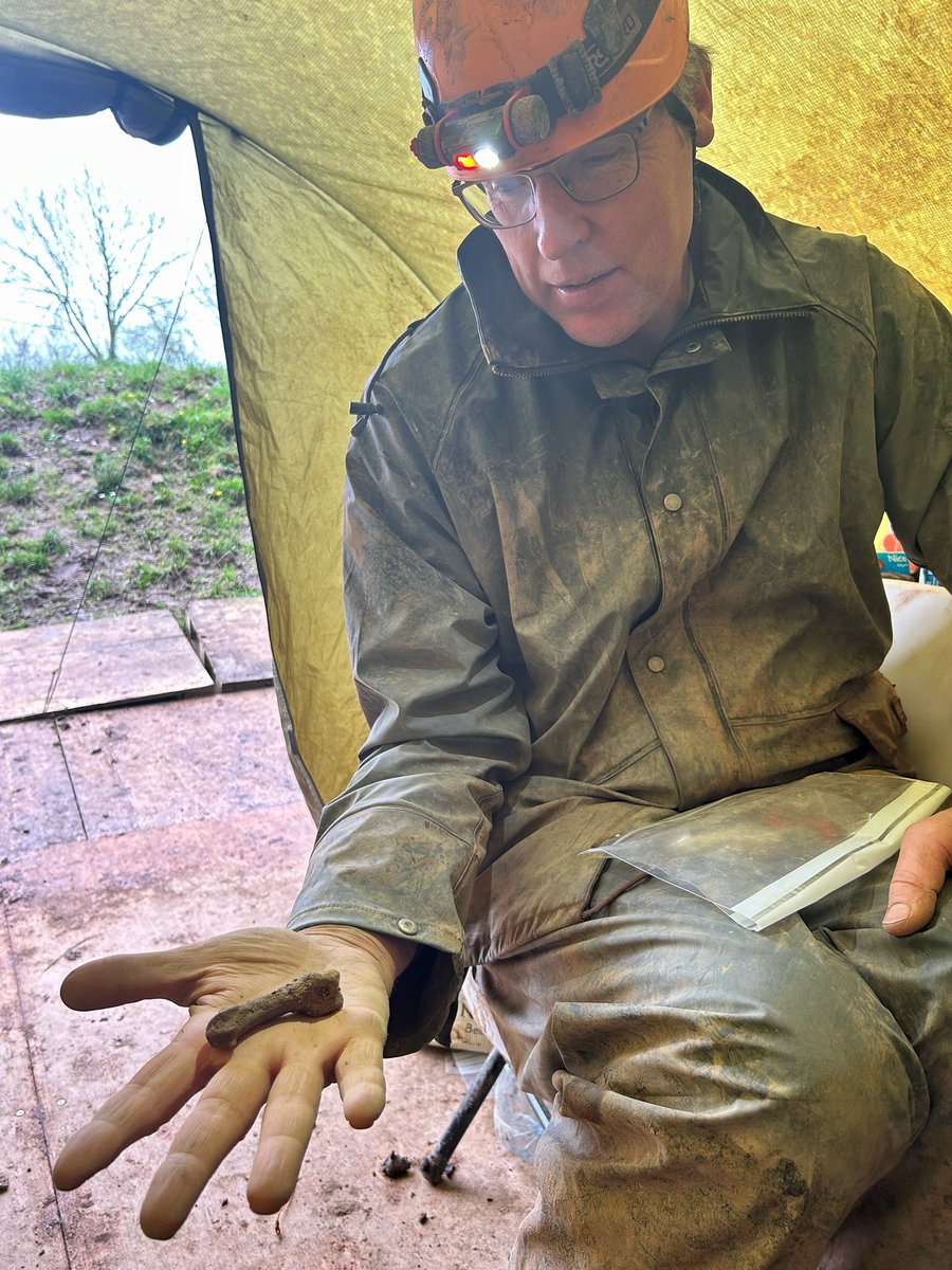 Dr Richard Jennings of @LJMU_BES just out of the cave with a bone for me to look at … it’s a metapodial bone from a brown bear!!! @RIAdawson funded Castlepook cave excavations 2024 just keeps on giving up the treasures 😁 #IrishCaveBones #IrishPalaeolithic  #CaveArchaeology