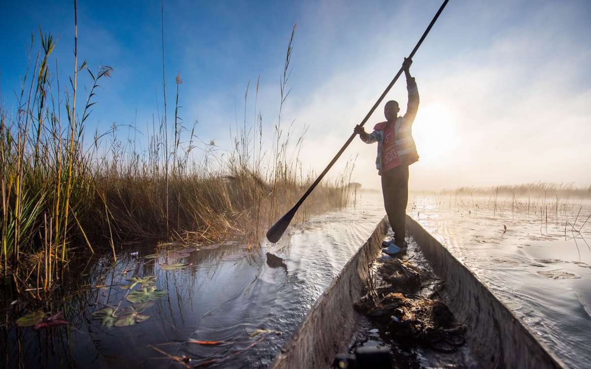 Freshwater plants and animals have declined by 83% since 1970 – far greater than any other biome. @Nature_Africa and our partners are working to conserve these waters that sustain life and livelihoods in Africa. Learn more: nature.org/en-us/about-us… 📸: © Roshni Lodhia