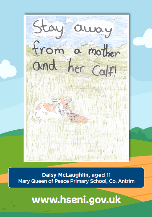 An excellent poster on calving with care by Daisy McLaughlin, aged 11 from Mary Queen of Peace P.S. as our April winner. See our website: Animals - safety during calving | Health and Safety Executive for Northern Ireland (hseni.gov.uk)