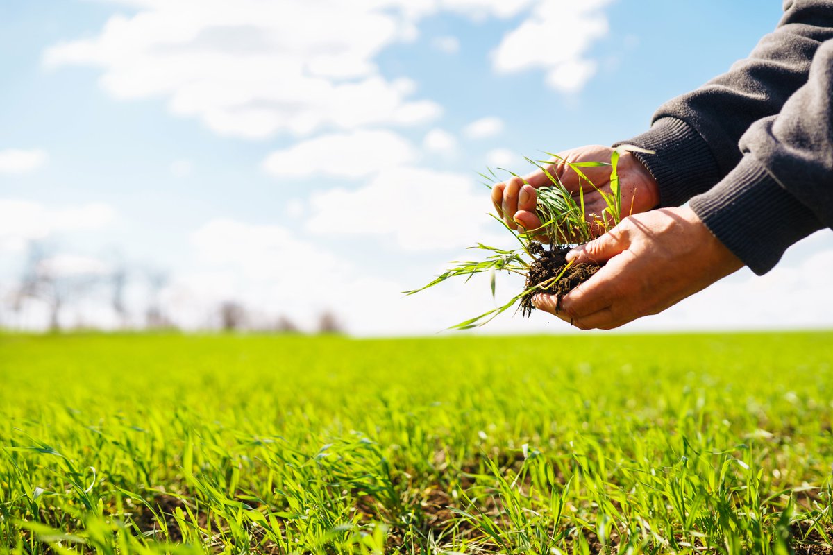 @GrasscheckGB & @GrassCheck offers useful guides about latest grass growth conditions as well as helpful advice on maximising forage quality & utilisation grasscheckgb.co.uk @Bovidiva @HAUBeefSheep @agrecalc @AndersonsCentre