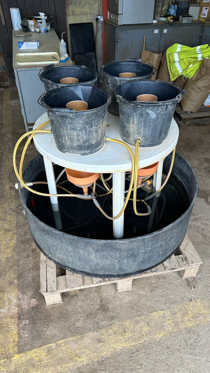 Christina Baxter tweet media