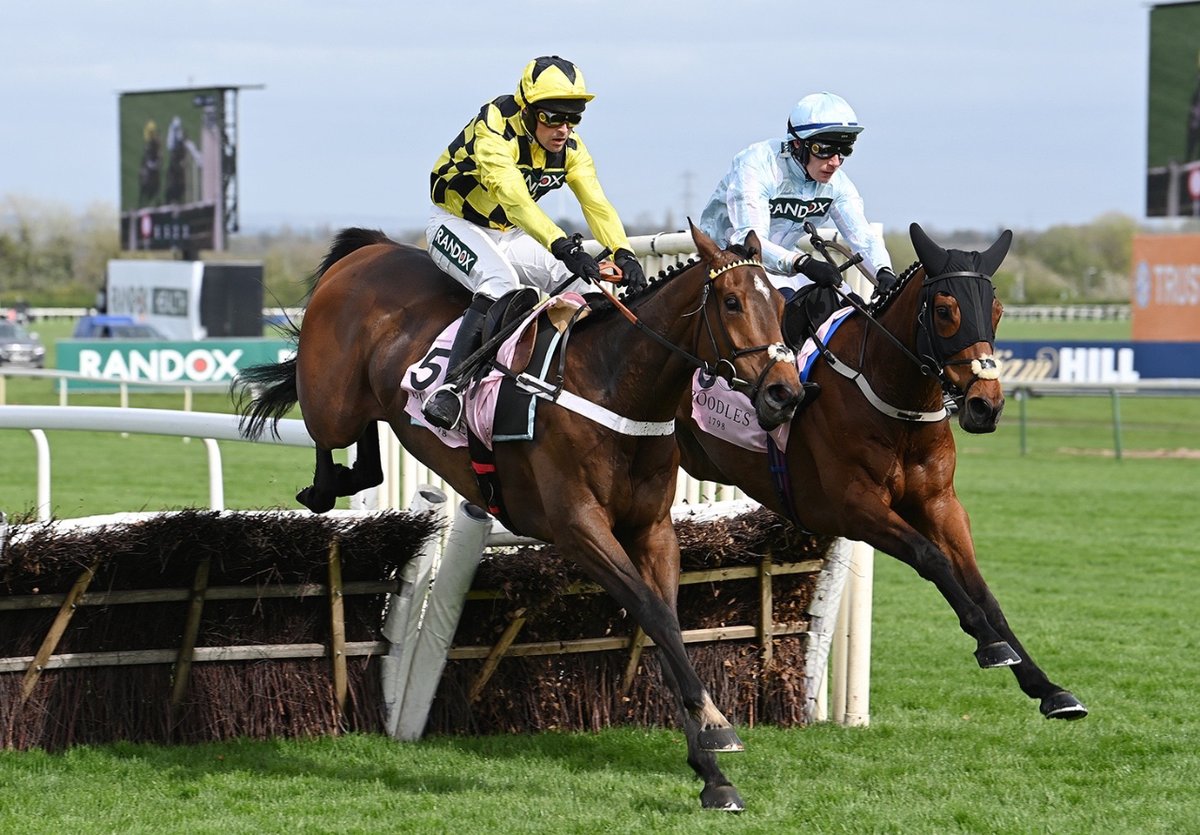 Sir Gino ranges upsides the filly Kargese to win the Boodles Anniversary Hurdle, much to the relief of the Seven Barrows team who have endured a torrid few month 📸 Bill Selwyn