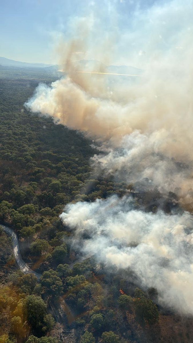 Ya controlaron el incendio en La Primavera pero eso no significa que está extinto, sino que 168 brigadistas frenaron su avance. Las llamas y emisiones seguirán un rato más. Mientras tanto el fuego alcanzó 390 hectáreas, según datos de @UMPCyBZ y @SemadetJal.