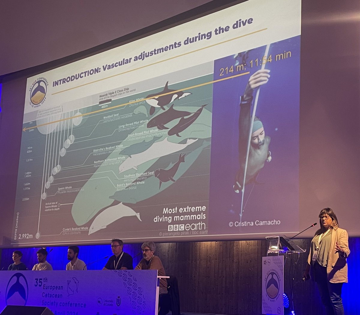 It was such an honor to have our #freediving picture presented during  Dr. Bernaldo de Quirós’ communication on vascular aspects of the diving physiology today at the @EuroCetSoc #ECS2024 #ECSConference2024 😉🙏🐬 @IUSAeu