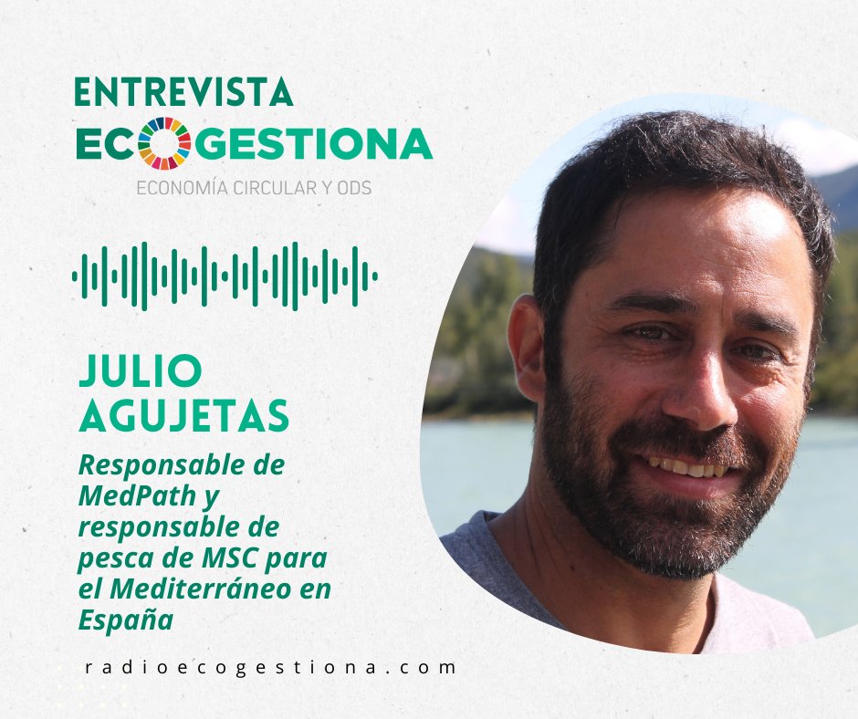 En la segunda parte hablaremos del informe MedPath de @MSCenEspana sobre la pesca en el Mediterráneo. Conoce los desafíos y soluciones hacia una #pescasostenible de la mano de Julio Agujetas, coordinador del informe. 

#OceanDecade24