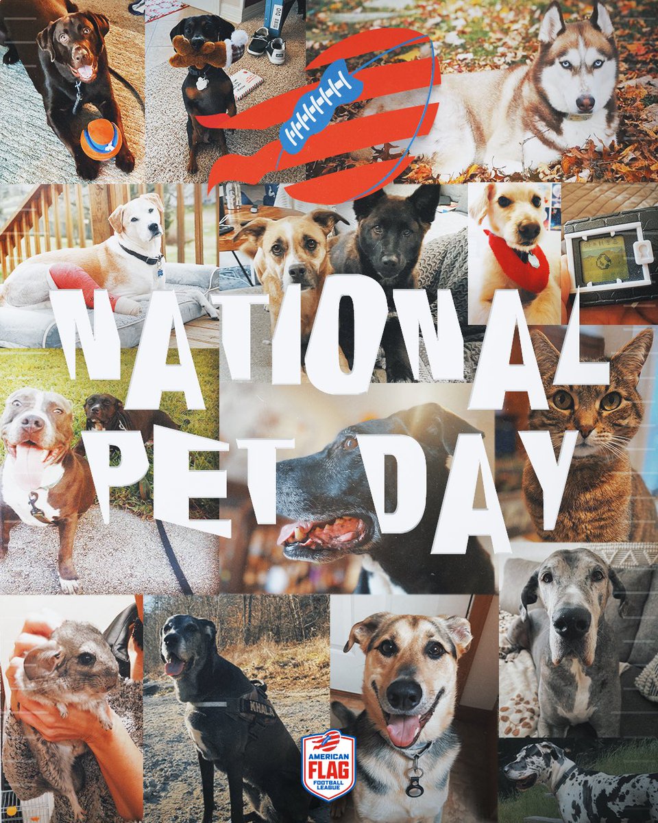 Happy National Pet Day from the AFFL family to yours! 🐾 

Meet the furry (and not-so-furry) friends who cheer us on from the sidelines.