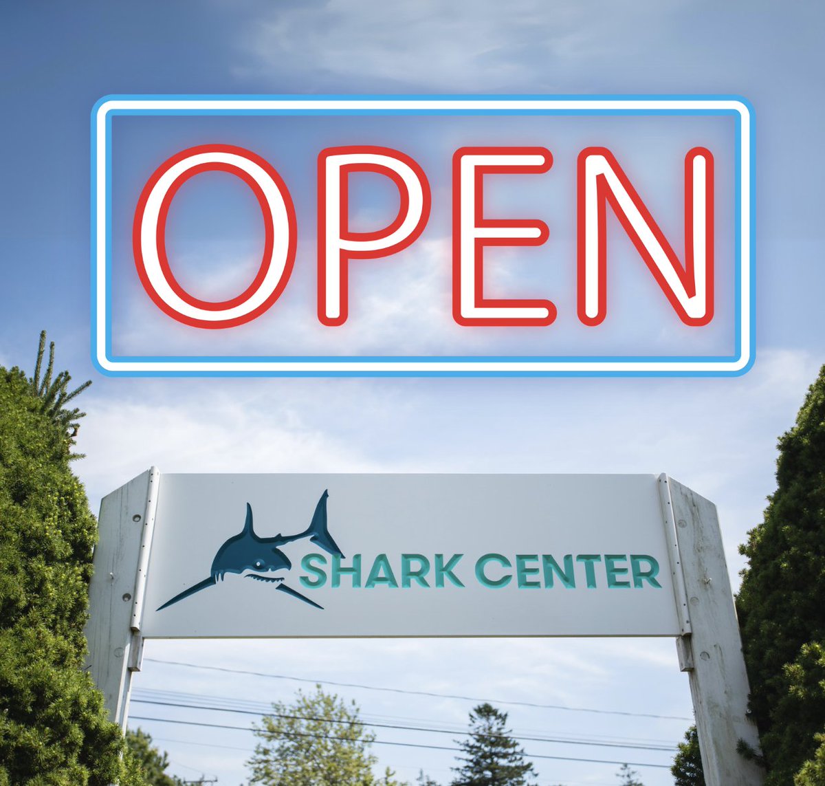 We are happy to share that the Shark Center Chatham will be open for MA April School Break week! Click below to learn more about our hours for 4/16 - 4/20! atlanticwhiteshark.org/shark-center-c…