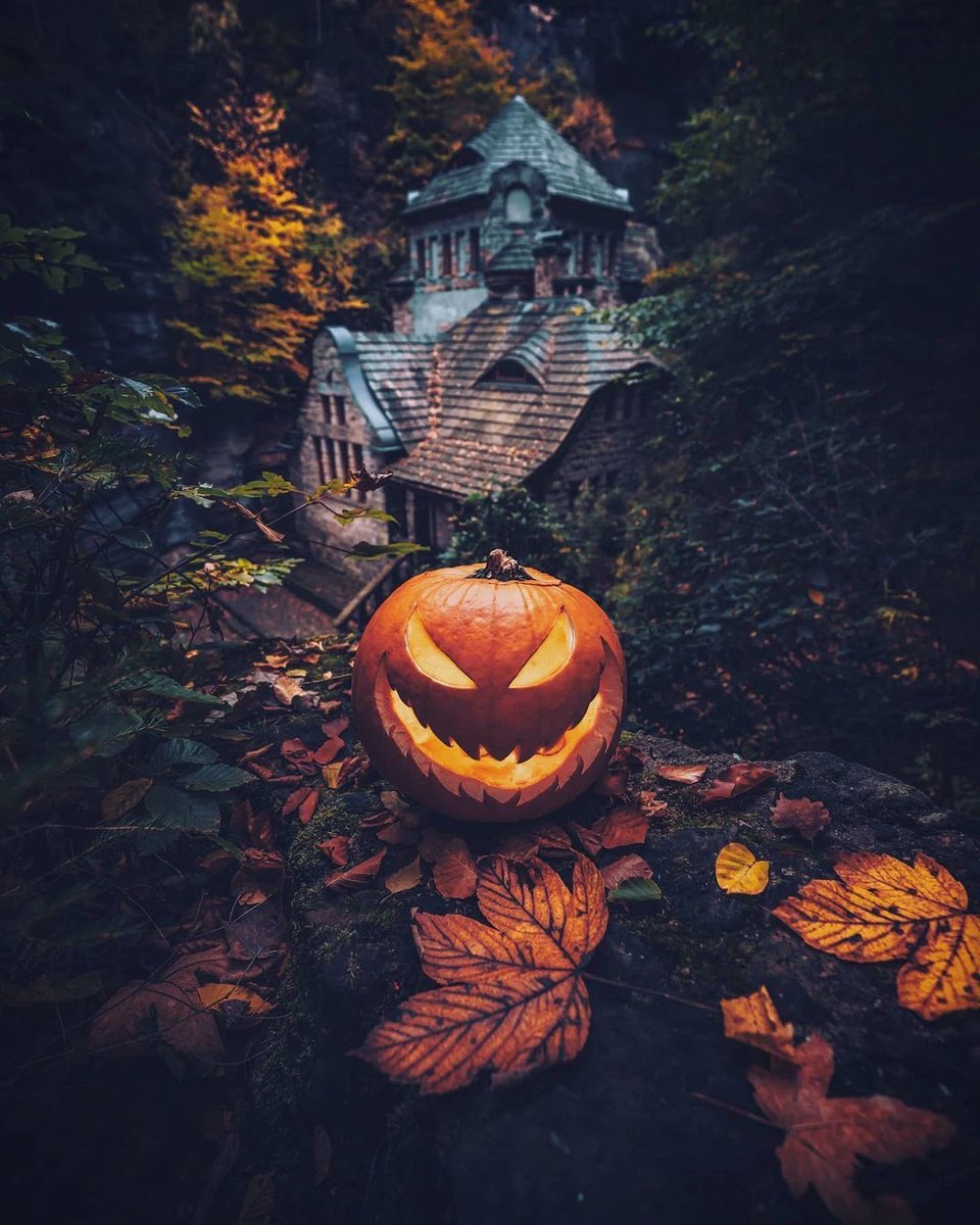 202 more days till halloween 🎃