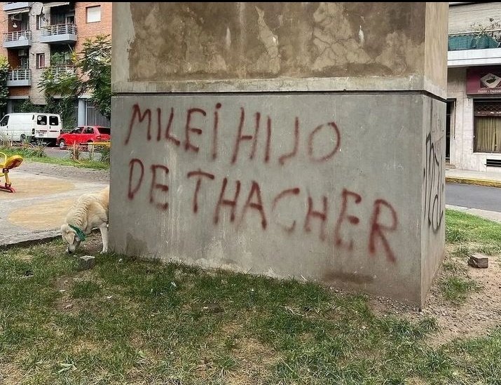 No te insulto, te describo