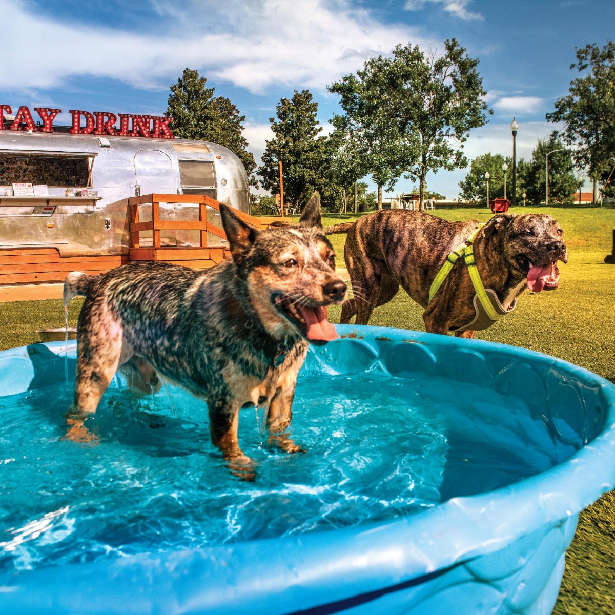 🐾❤️Celebrate National Pet Day in Macon, GA with your furry friends! 

Plan a pet-friendly visit at brnw.ch/21wIIIW 🌟🐾

#VisitMacon #WhereSoulLives #PetFriendlyTravel