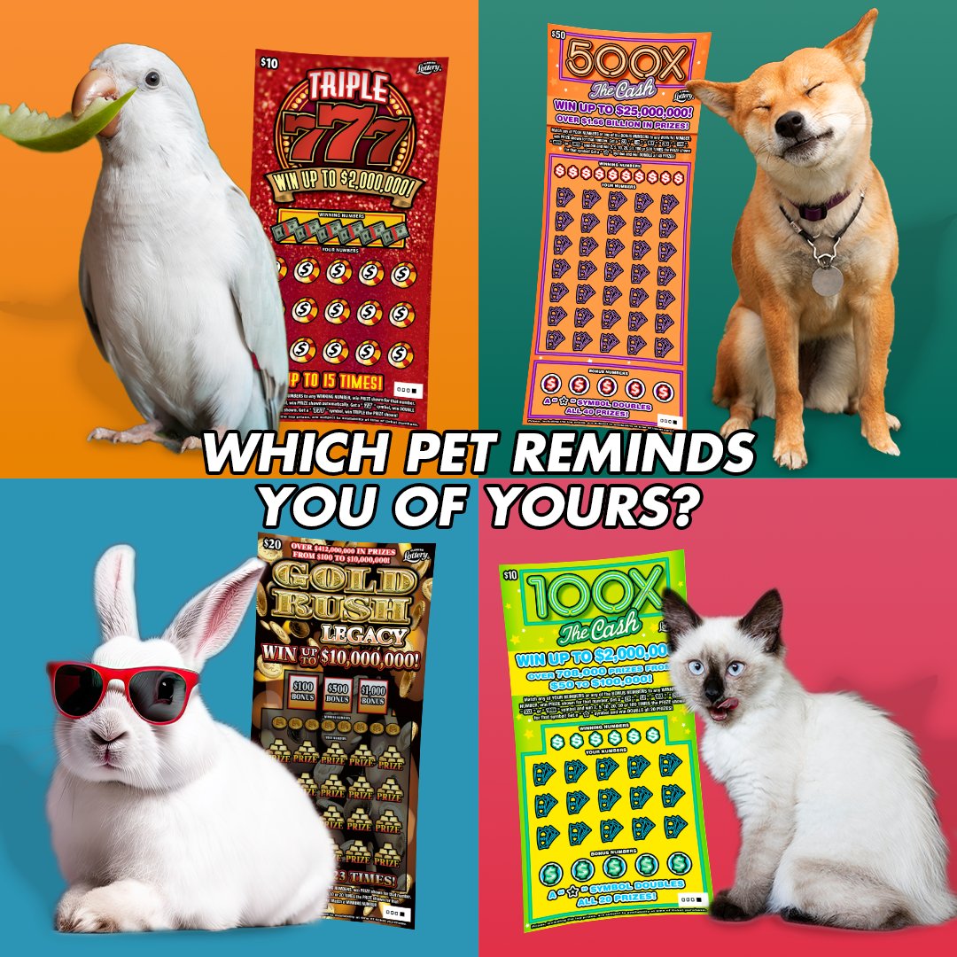 Happy National Pets Day! 🐰🐶🐱🦜 Which pet and Scratch-Off pair reminds you of your best animal pal? Share below! 👇 #FloridaLottery #NationalPetsDay