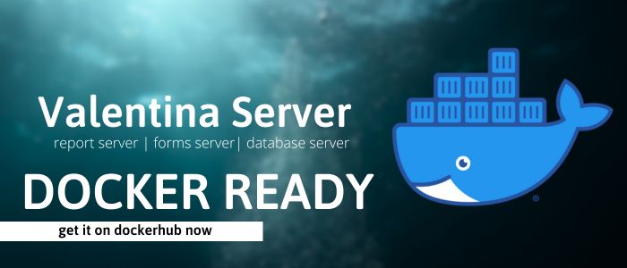 proactiveintl's tweet image. Get Valentina Server on #Dockerhub now. Includes database, reports &amp;amp; #forms server. Compatible with PostgreSQL , MySQL, MS SQL Server &amp;amp; more - #sqlserver bit.ly/3xdIuSe