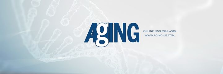 Aging is indexed by PubMed/Medline abbreviated as “Aging (Albany NY)”, PubMed Central, Web of Science: Science Citation Index Expanded (abbreviated as Aging‑US and listed in the Cell Biology and Geriatrics & Gerontology categories), Scopus (abbreviated as Aging), and Dimensions.