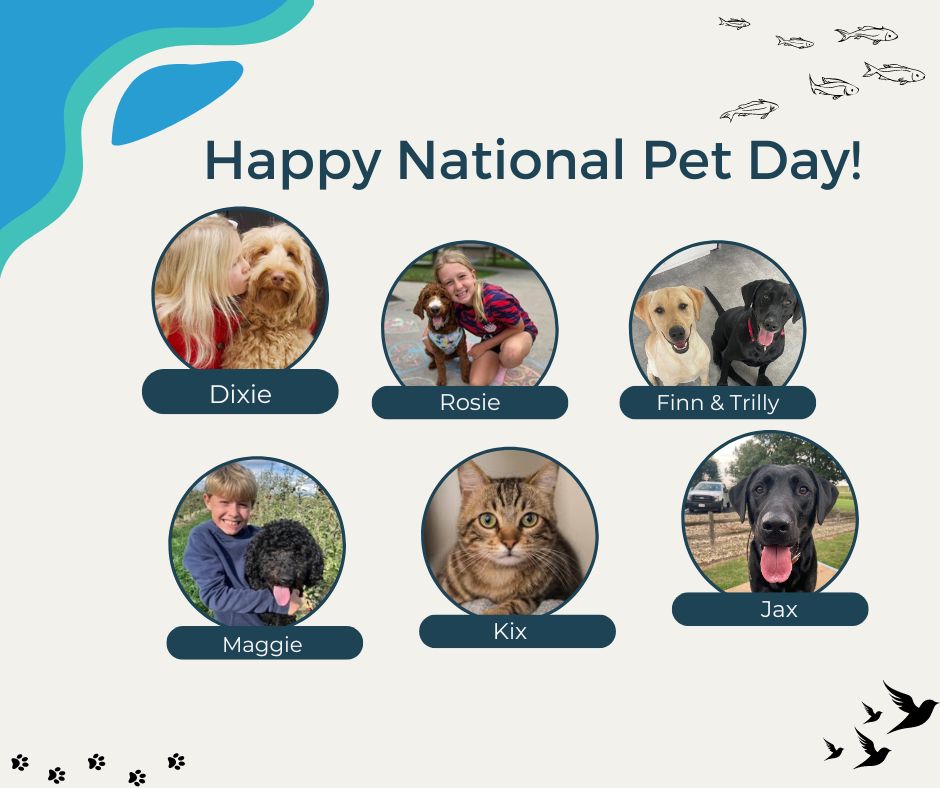 Today is National Pet Day. Comment below a picture of your pets!
