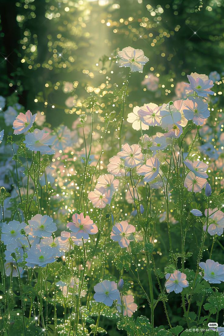 _LoveCuteThings's tweet photo. https://t.co/h2ZSrharkC