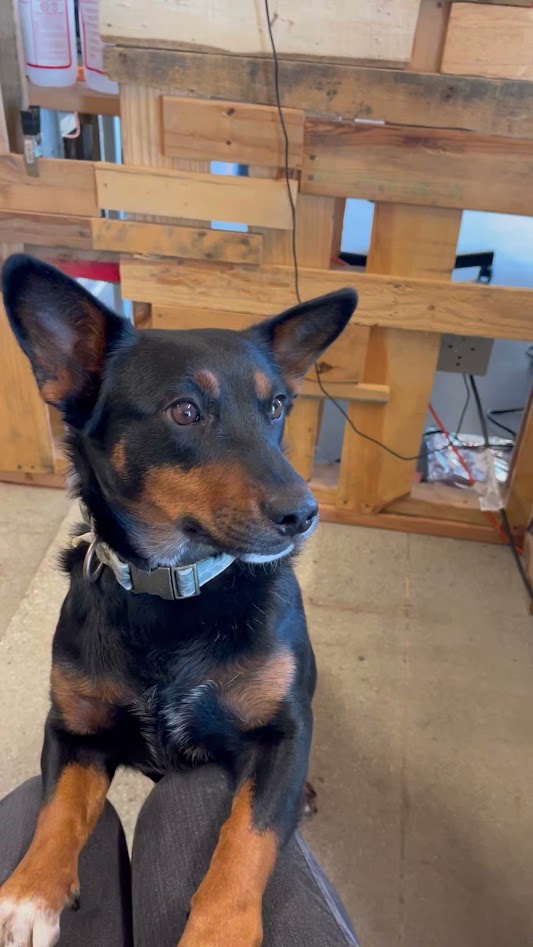 FuseIntegration tweet media