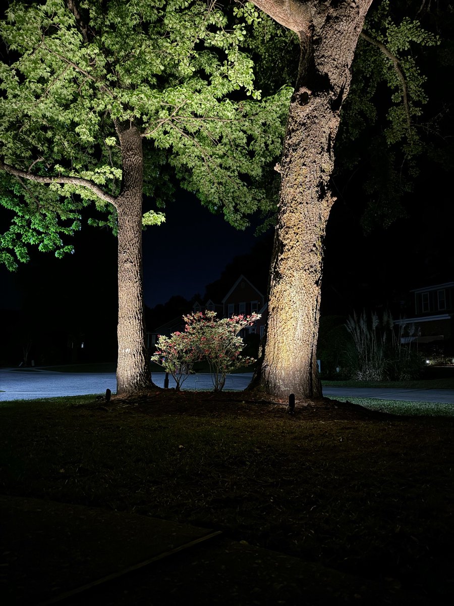 LlcIrrigation's tweet photo. Landscape lighting makes a big difference in your property's appearance at night. Here's some photos from a recent project. Call us for a free estimate!

843-998-0848
https://t.co/xJJQEyN6Pp https://t.co/RvJVYvWpGS