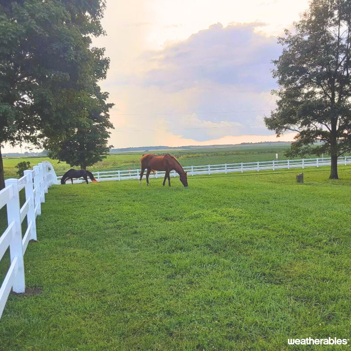 Upgrade to vinyl ranch rail &amp; enjoy limitless benefits- durable, safe, easy to install, stylish, affordable &amp; adds beauty and value to your property! 👀

weatherables.com/products/vinyl…