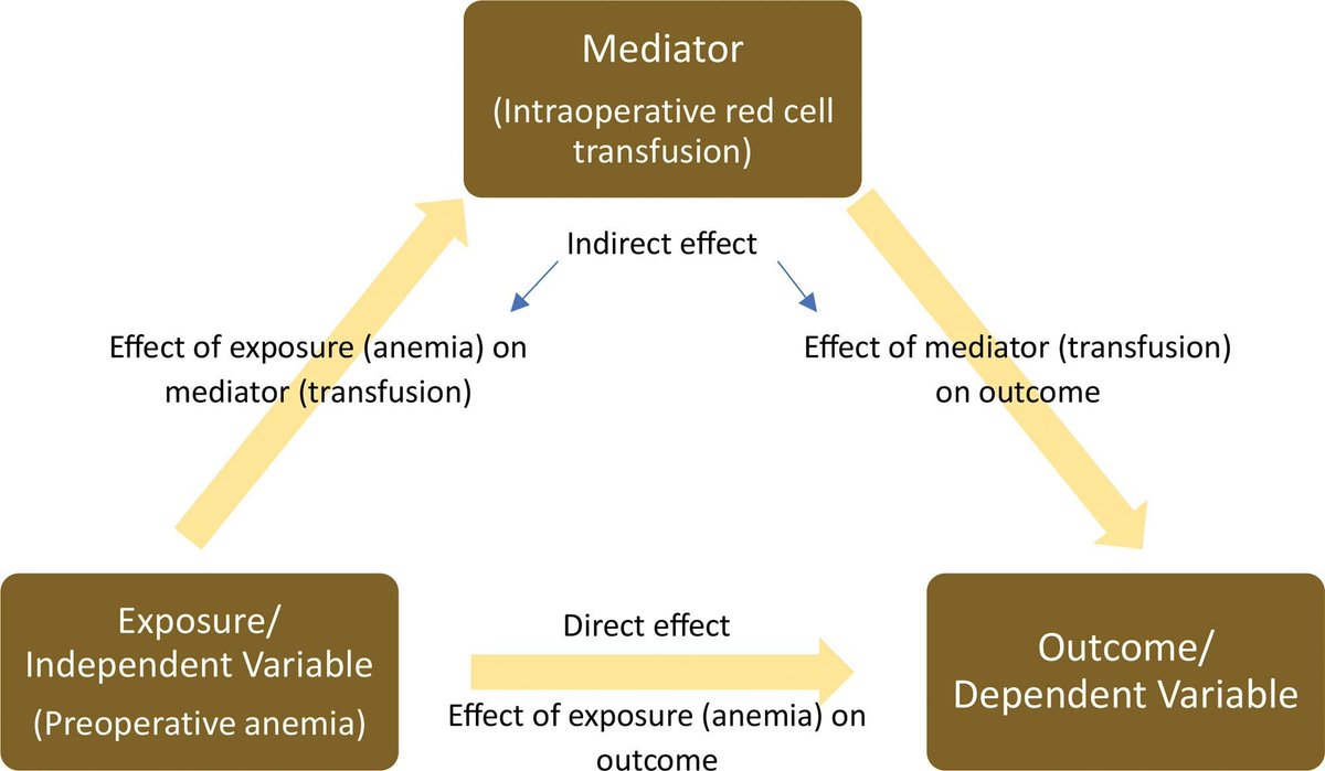 Check out the editorial 'Anemia or Transfusion: Getting to the Heart of the Issue' buff.ly/3PVBUq9