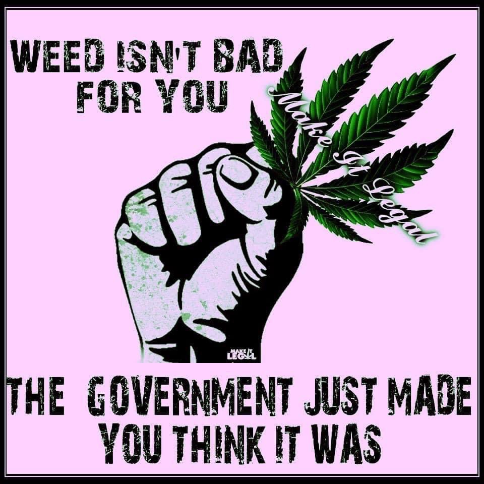 The lies! The stigmas! The incarcerations! The racialism! All lies!! #Cannabis #LegalizeIt #CannabisCommunity #Mmemberville