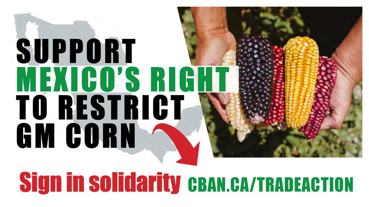 You can take action in solidarity today! Sign the petition asking the Government of Canada to withdraw from the trade dispute over Mexico's #GMO corn restrictions. cban.ca/tradeaction