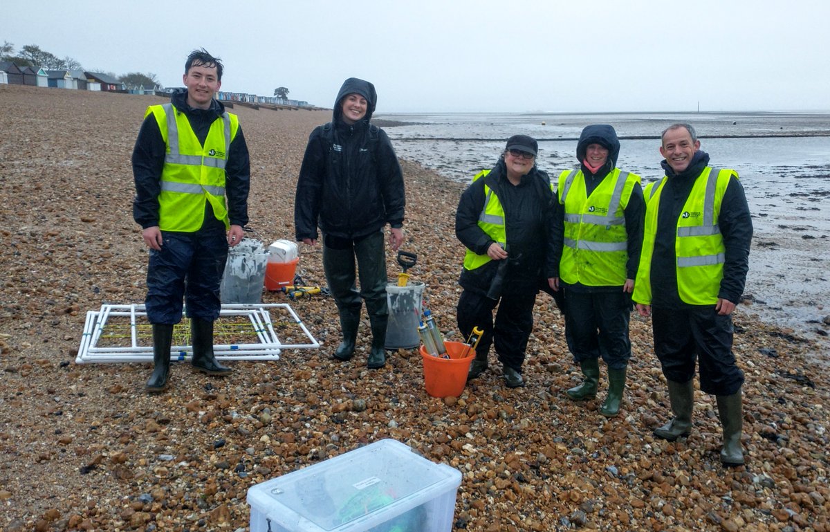 On Monday we battled wind and a tide that never went out properly, and yesterday we had wind and rain, but our #SolentSeagrassChampions still managed to plant two seagrass seed plots at #Calshot and kept smiling right to the end! @solentseascape Fingers crossed for seedlings!