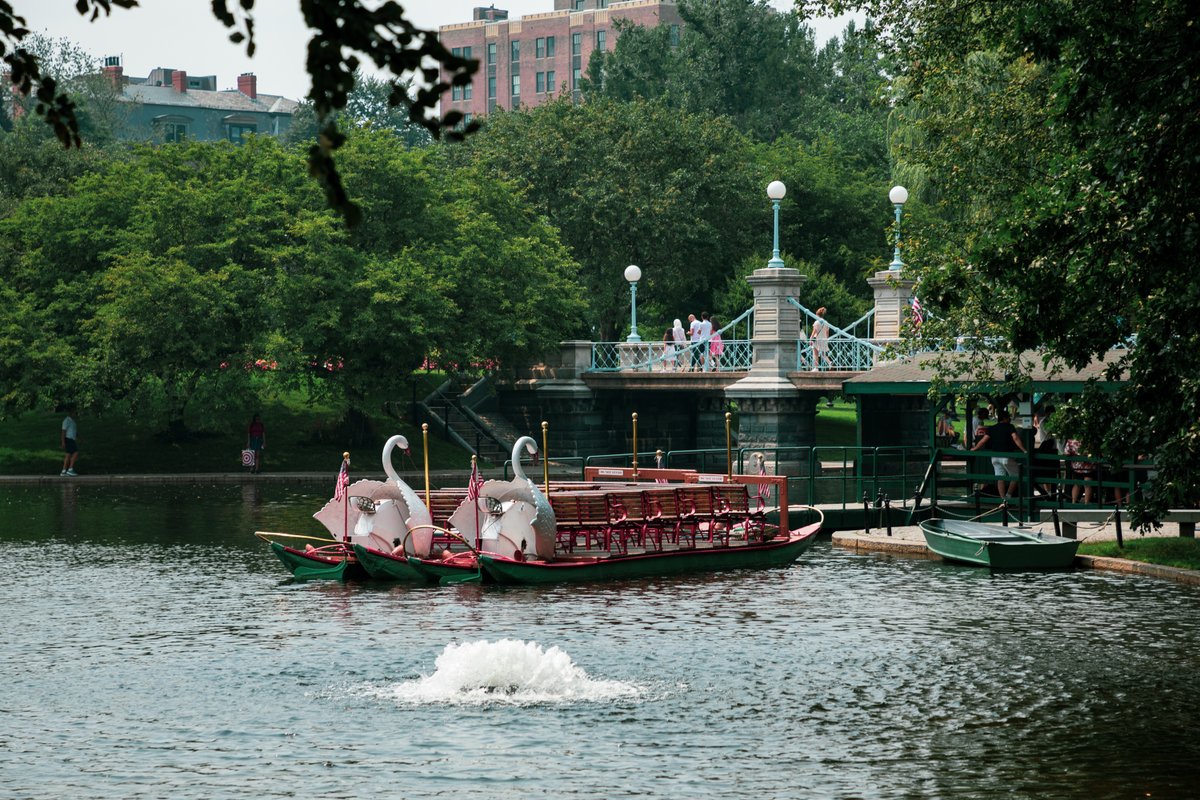 Some cities kick off spring with groundhogs, but we like to wait for the swans! Celebrate spring with a swan boat ride at the Boston Public Garden lagoon starting Saturday, April 13. Visit boston.gov/swan-boat to learn more.