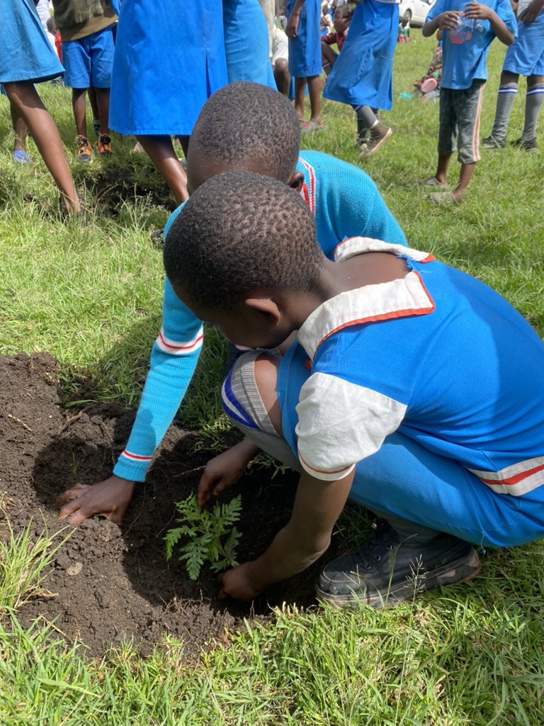 Planting trees 🌲🌴🌳is a powerful act of love towards Mother Earth. Together, we can create a greener, healthier future for all living beings. Let’s be the change we wish to see in the world. Our planet’s future is in our hands. #ClimateActionNow