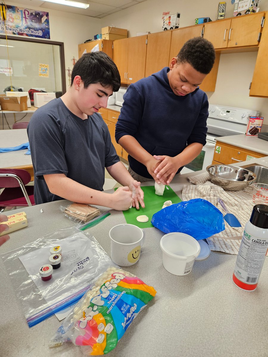 GHMSFCCLA's tweet photo. Our Spring Competition is underway! Is It Cake?! Check out their submissions tomorrow and find out! @SCSD_GMS @SmithtownCSD https://t.co/JVo7l4Bo2Y