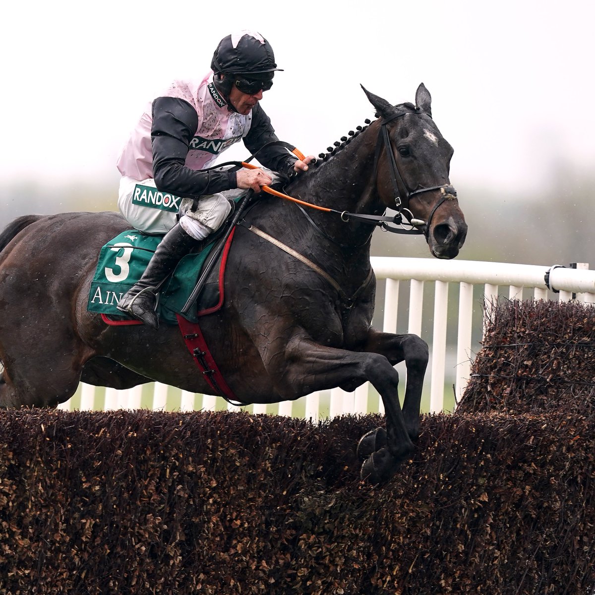 Some race! Gerri Colombe takes the Bowl at Aintree! #GrandNational2024