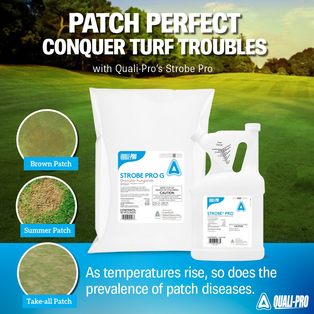 Quali_Pro's tweet image. There's no need to worry about patch diseases catching you off guard; conquer turf troubles with Quali-Pro's Strobe Pro products! #TurfLife #SummerPatch #BrownPatch #TakeAllPatch
Learn more HERE hubs.la/Q02r-m6w0