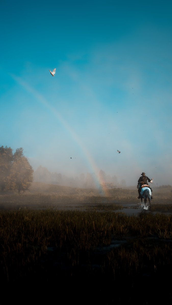 Red dead redemption II 🍁 @RockstarGames #pcgaming #VPGamers #RDR2 #VGPUnite #FutureVPSupport