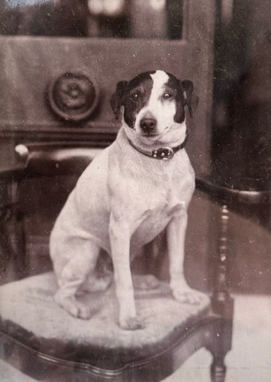 April 11th is #NationalPetDay. 2 of the #pets we know about from #FortyHall are Rip the dog & Giddy the Goat. Rip, (known as Master Rip Bowles) was owned by the #Bowles family. Giddy was owned by the #ParkerBowles family, and was kept under the Cedar Tree (No goats in the house!)