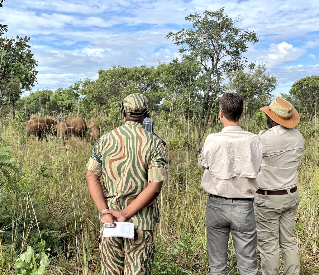 Lusaka National Park welcomes its newest resident 🦏 ! Delighted to join Minister @SikumbaRodney at today's release of new animals into the Park. Elephant, rhino, giraffe, hyena, zebra & more now call #Lusaka home. 1000s of schoolkids visit. What a drawcard for a capital city!