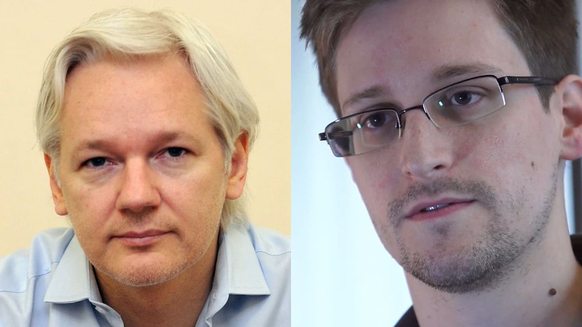 I support Donald Trump pardoning Edward Snowden and Julian Assange

Do you support this ?