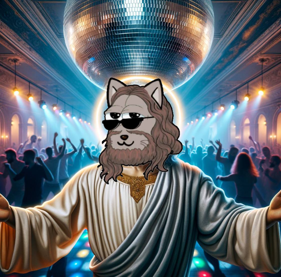 When you have Jesus cat, you are calm at the disco

#Believe