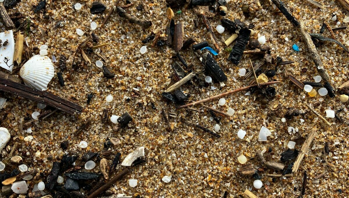 EN IMAGES - De Pornichet à La Bernerie-en-Retz, des petites billes de plastique réapparaissent sur les plages @Surfrider ➡️ l.francebleu.fr/9RZf