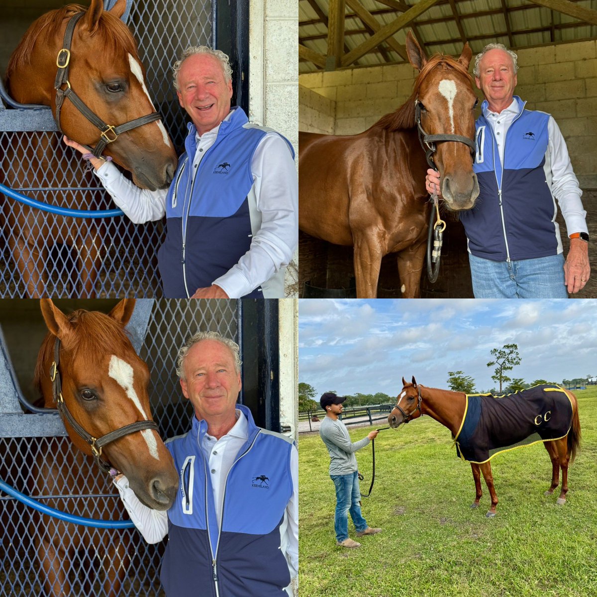 Therapy is as simple as watching the sun rise @payson_park and being with @miguelmclement @clementstable. @BreedersCup runner Carson’s Run looks stellar and Sweet Sani Girl was named appropriately as she let me in her stable. 🙏❤️🐎 #LifeIsShort #EnjoyLife