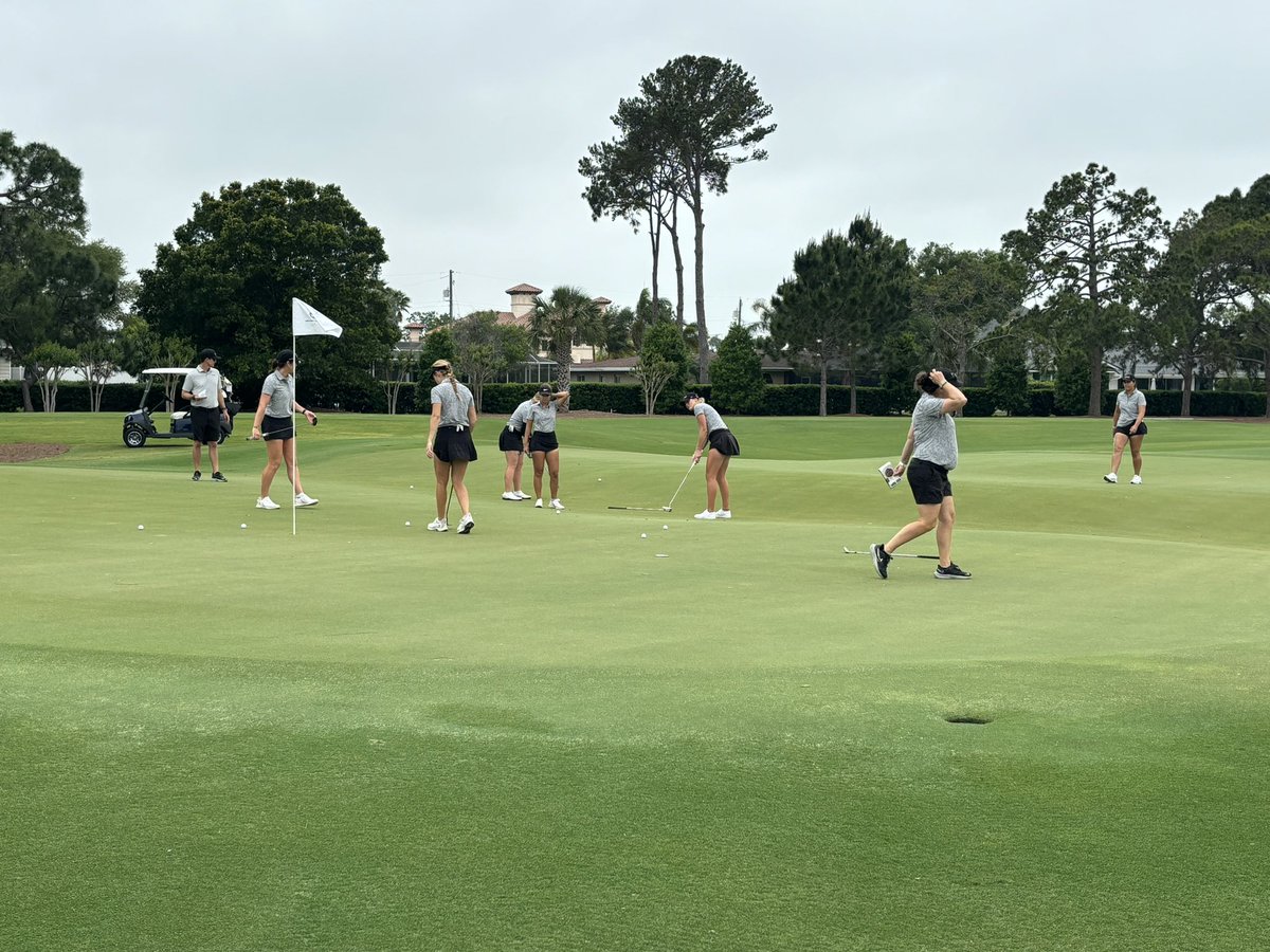 Practice round underway for SEC womens golf championship in Belleair, FL at Pelican Golf Club in steady 25 mph winds. Tigers on sixth green and you can see the old school large green complexes on this course.