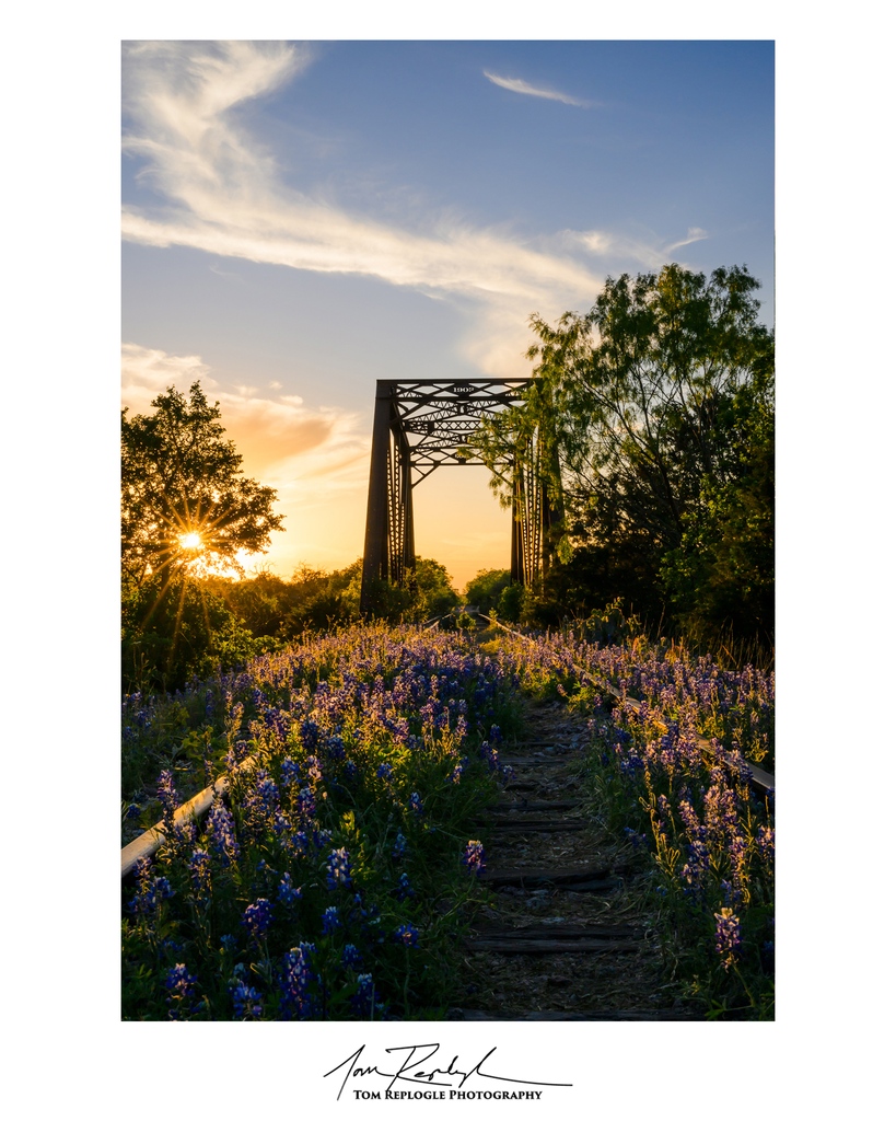 1903.  Bluebonnets, a bridge, and a beautiful sunset.
⁠
#bluebonnets #texashillcountry #texas #wildflowers #texaswildflowers #traveltexas #exploretexas #sunset #sunsetphotography #fineartphotography #landscapephotography  #nikonphotography #nikondZ8