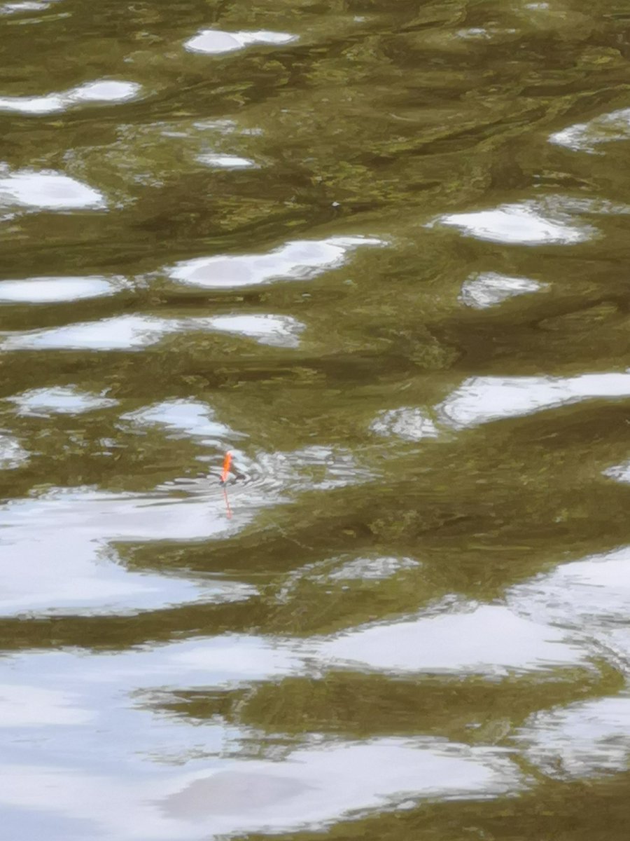 Anthony Dawson tweet media