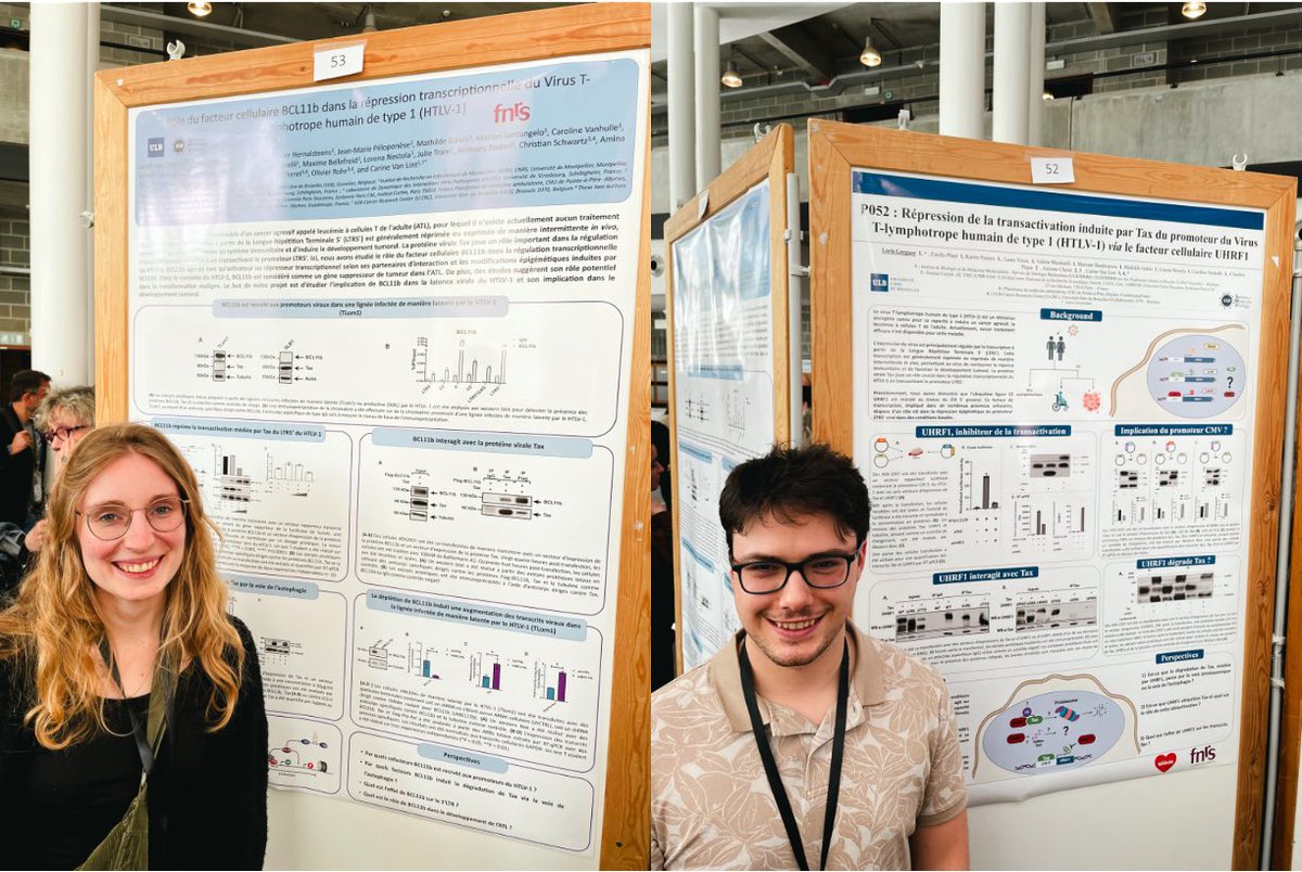 Van Lint Lab (@van_lint_lab) on Twitter photo 👏 Bravo à nos doctorants pour avoir brillamment présenté leurs travaux de thèse lors de la session de posters des #JFV2024 à l’#ULB ! 🎉 <a href="/SFV_France/">Societe Francaise De Virologie</a> <a href="/ULBruxelles/">Université libre de Bruxelles</a> 👏 Bravo à nos doctorants pour avoir brillamment présenté leurs travaux de thèse lors de la session de posters des #JFV2024 à l’#ULB ! 🎉 <a href="/SFV_France/">Societe Francaise De Virologie</a> <a href="/ULBruxelles/">Université libre de Bruxelles</a>