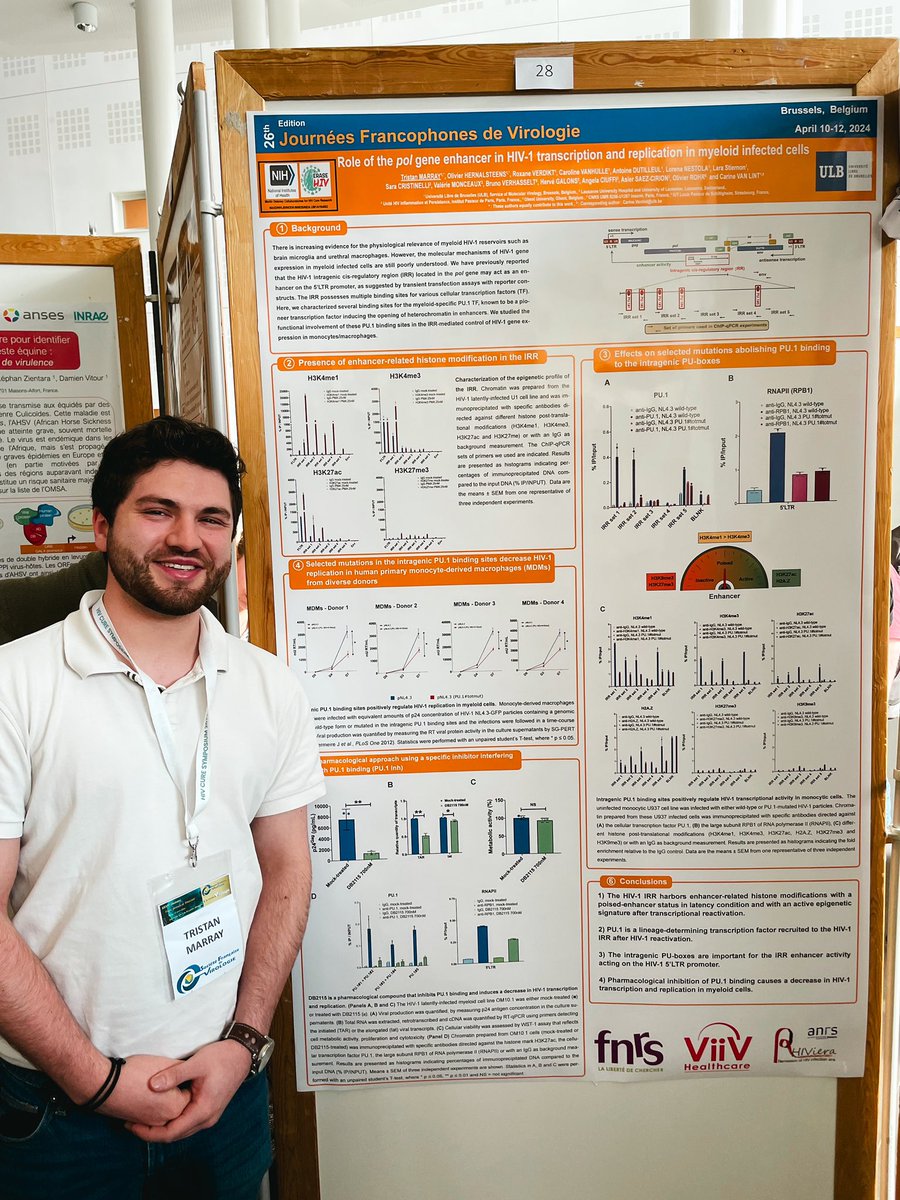 Van_Lint_lab's tweet photo. 👏 Bravo à nos doctorants pour avoir brillamment présenté leurs travaux de thèse lors de la session de posters des #JFV2024 à l’#ULB ! 🎉 @SFV_France @ULBruxelles https://t.co/lo7bMUBebB
