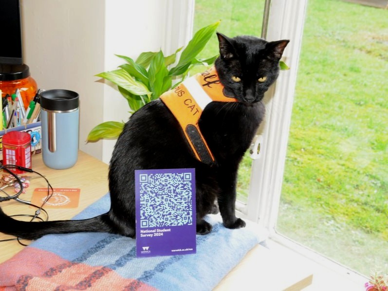 Campus cat @RolfatWarwick has a reminder for our final-year undergrad students: ✍️ share your voice and fill out the National Student Survey! Qualifying students will have a chance to win up to £100. Hurry - you'll need to complete it by 30 April 2024 ⬇️ bit.ly/2HAGZDd