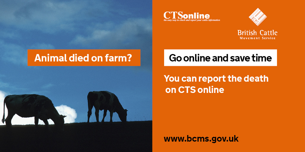 When an animal dies, there's no need to report an off movement, just report the death. Remember to return the documents to BCMS within 7 days. If you have reported the death electronically, also tick the relevant box on the passport. #BCMS