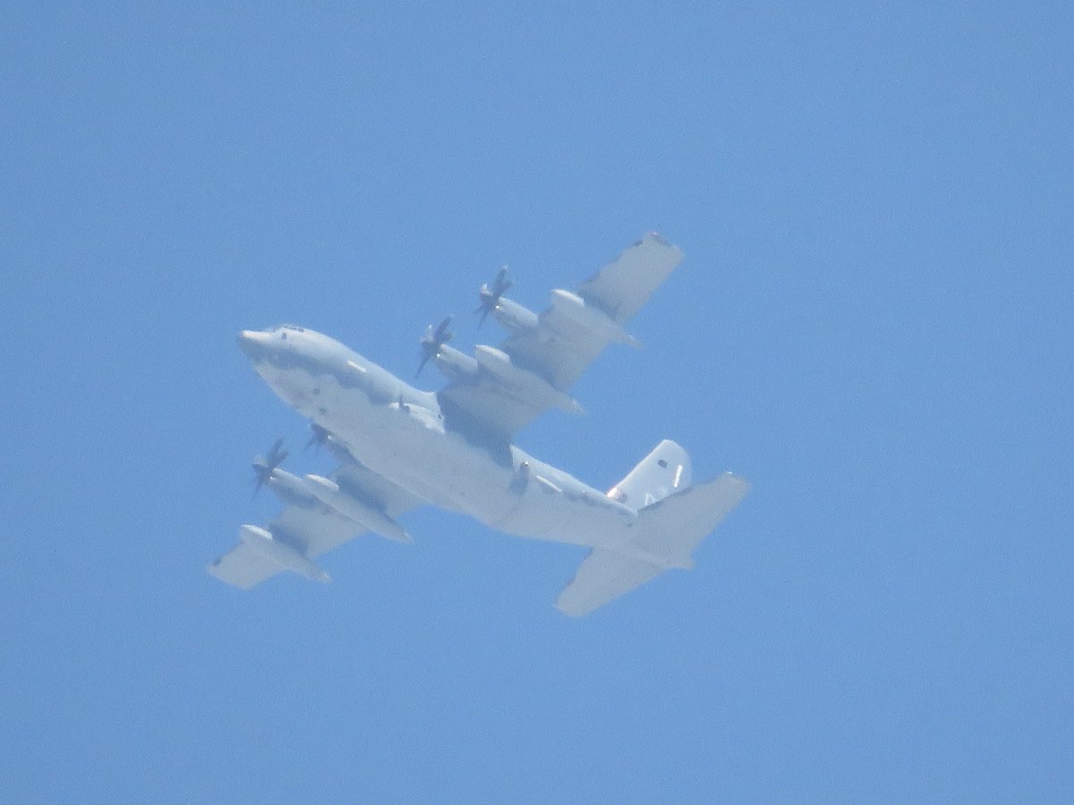 SomeFrench1991's tweet photo. Today's airdrop to #Gaza 🇵🇸

🇯🇴 2x C-130H: 357 [#1E3C8A] as #HERC31 and another
🇪🇬 1x C-130H: SU-BEY/1292 [#010089] as #HERC33
🇩🇪 1x A400M: 54+11 [#3F6682] as #HERC34
🇳🇱 1x C-130H-30: G-275 [#480C04] as #HERC35
🇺🇸 1x HC-130J: DM (reg. ?) 
🇦🇪 1x C-295W: 824 [#896C45] as #HERC37 https://t.co/itAWNe5g6x